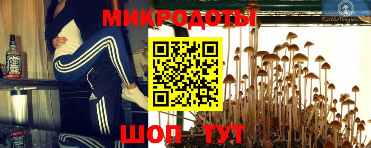 Королёв  купить  сайты  Галлюциногенные грибы GOLDEN TEACHER  Вход с VPN  Галлюциногенные грибы ЛСД 