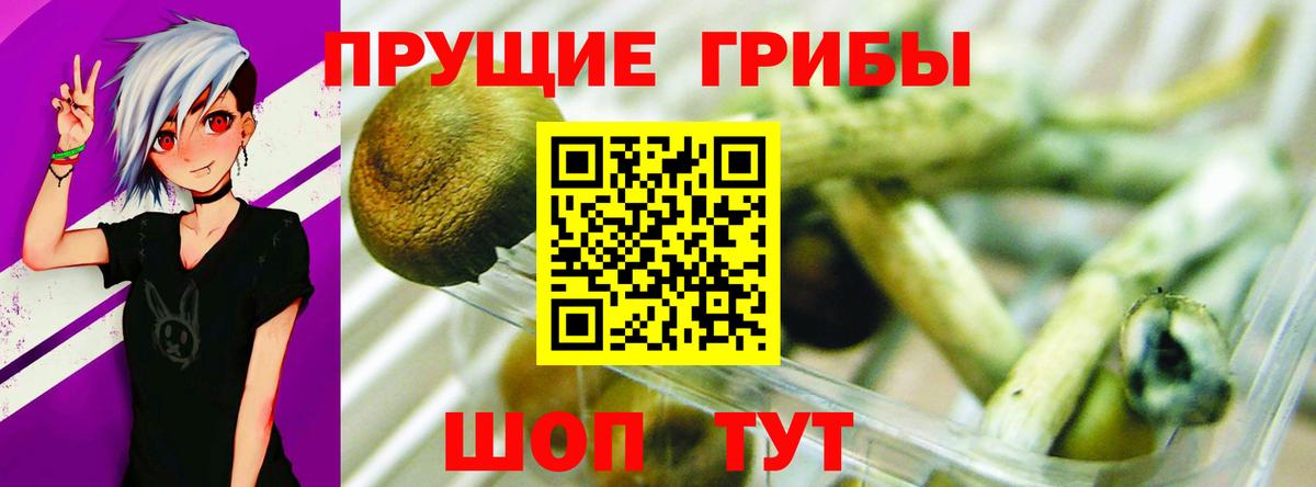 Галлюциногенные грибы ЛСД Королёв