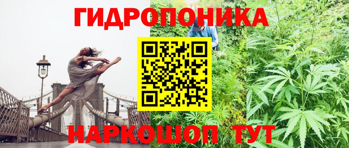 Конопля индика  Вход с VPN  Бошки Шишки MAZAR  МАРИХУАНА White Widow  Шишки марихуана план  Королёв 